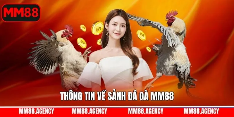 Thông tin chung về sảnh chơi trực tuyến đình đám